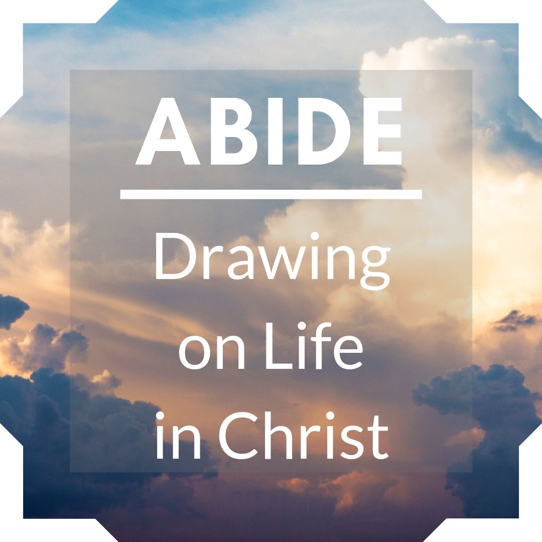 Learning to Abide